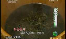 火龙灸操作视频